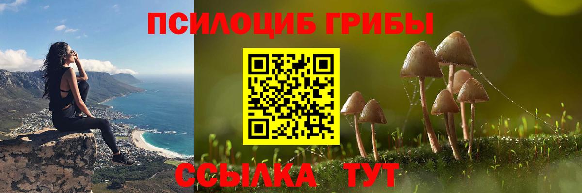 Бердск  Псилоцибиновые грибы GOLDEN TEACHER  Вход с VPN 